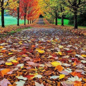 Meet your Posher, Candice